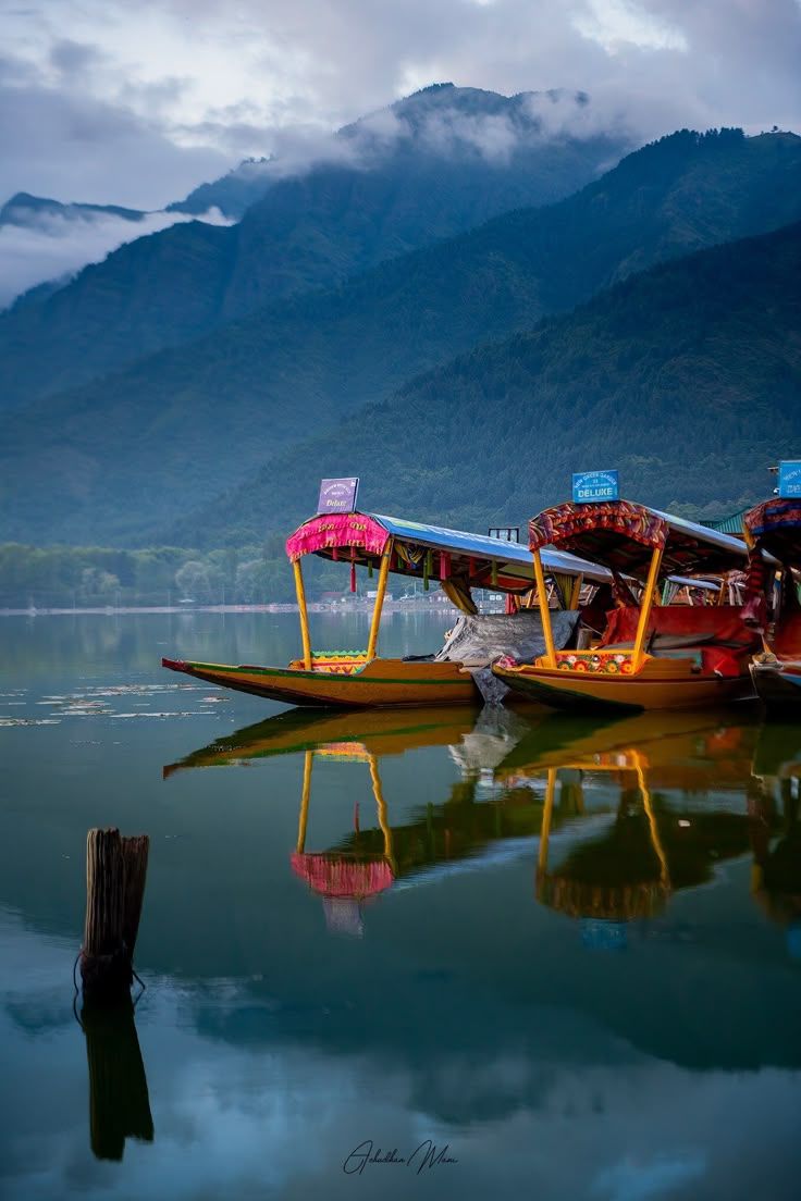 Arrival in Srinagar & Transfer to Pahalgam