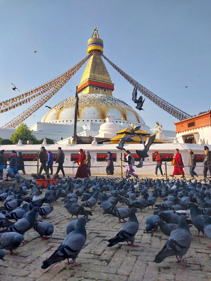 Kathmandu Arrival & Boudhanath Stupa