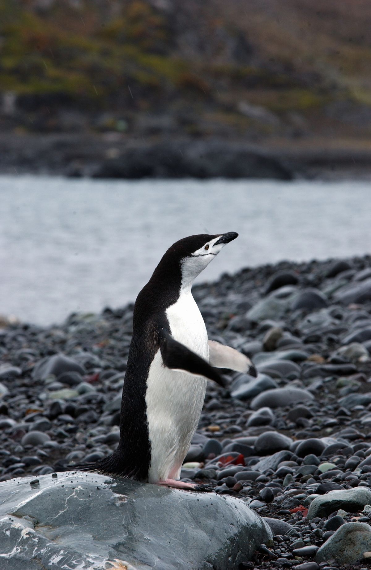 Day 7