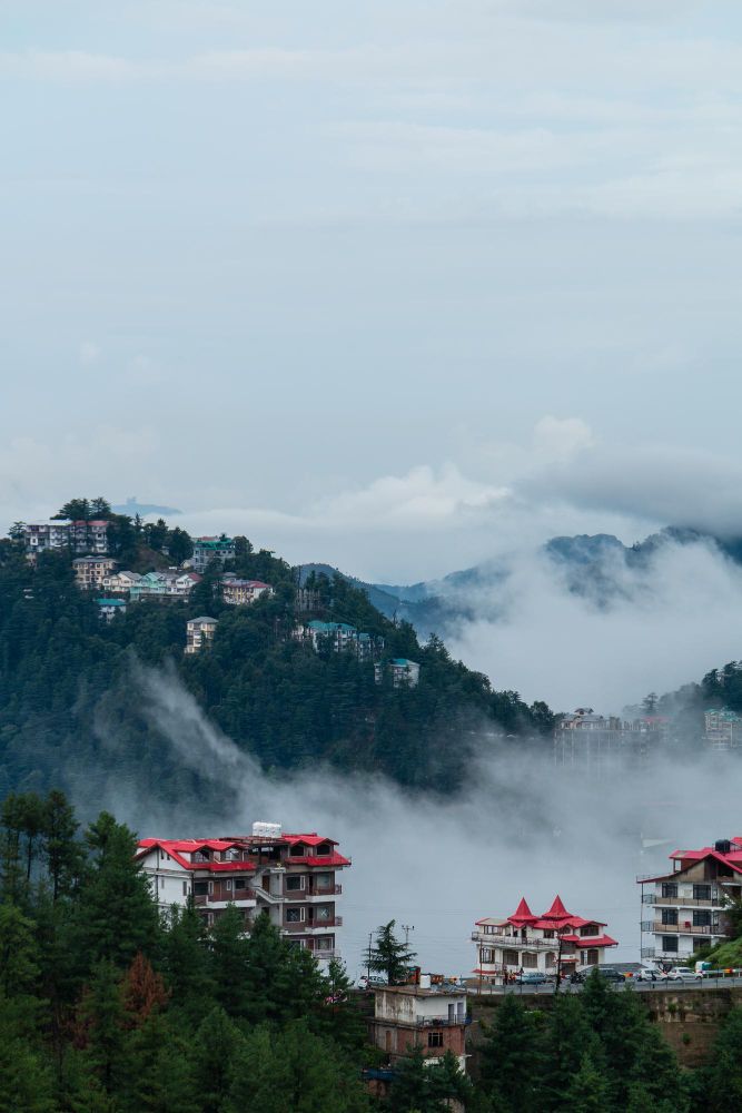 Delhi to Shimla