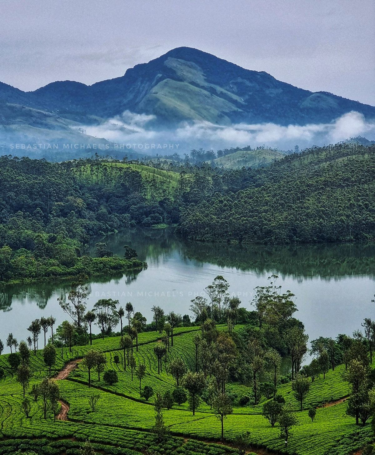 Arrival in Munnar