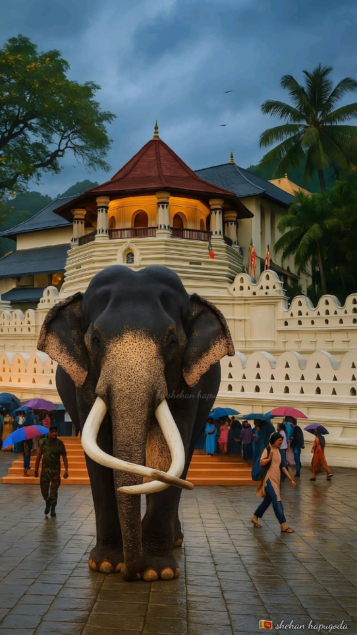 Glimpses of Sri Lanka – 6 Nights & 7 Days