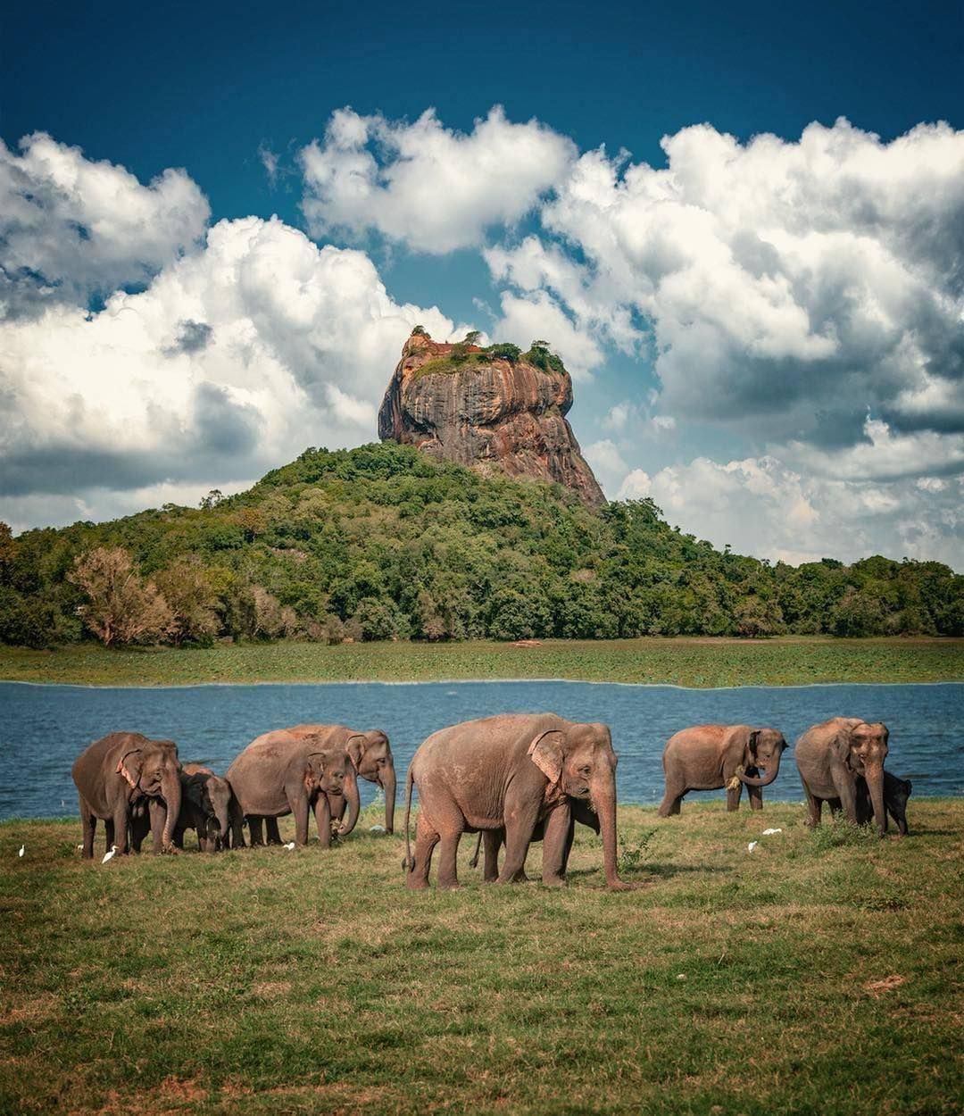Golden Shores Sri Lanka – 4 Nights & 5 Days