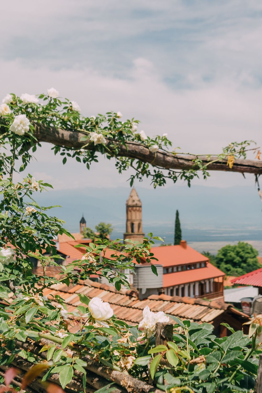 Georgia Wonderland – 5 Nights / 6 Days