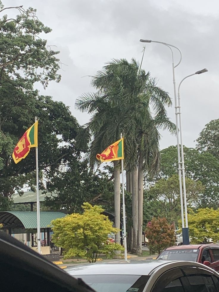 Arrival in Colombo & Transfer to Dambulla
