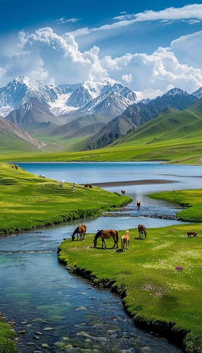 Fascinating Ladakh – 7 Days / 6 Nights Leh Ladakh Tour